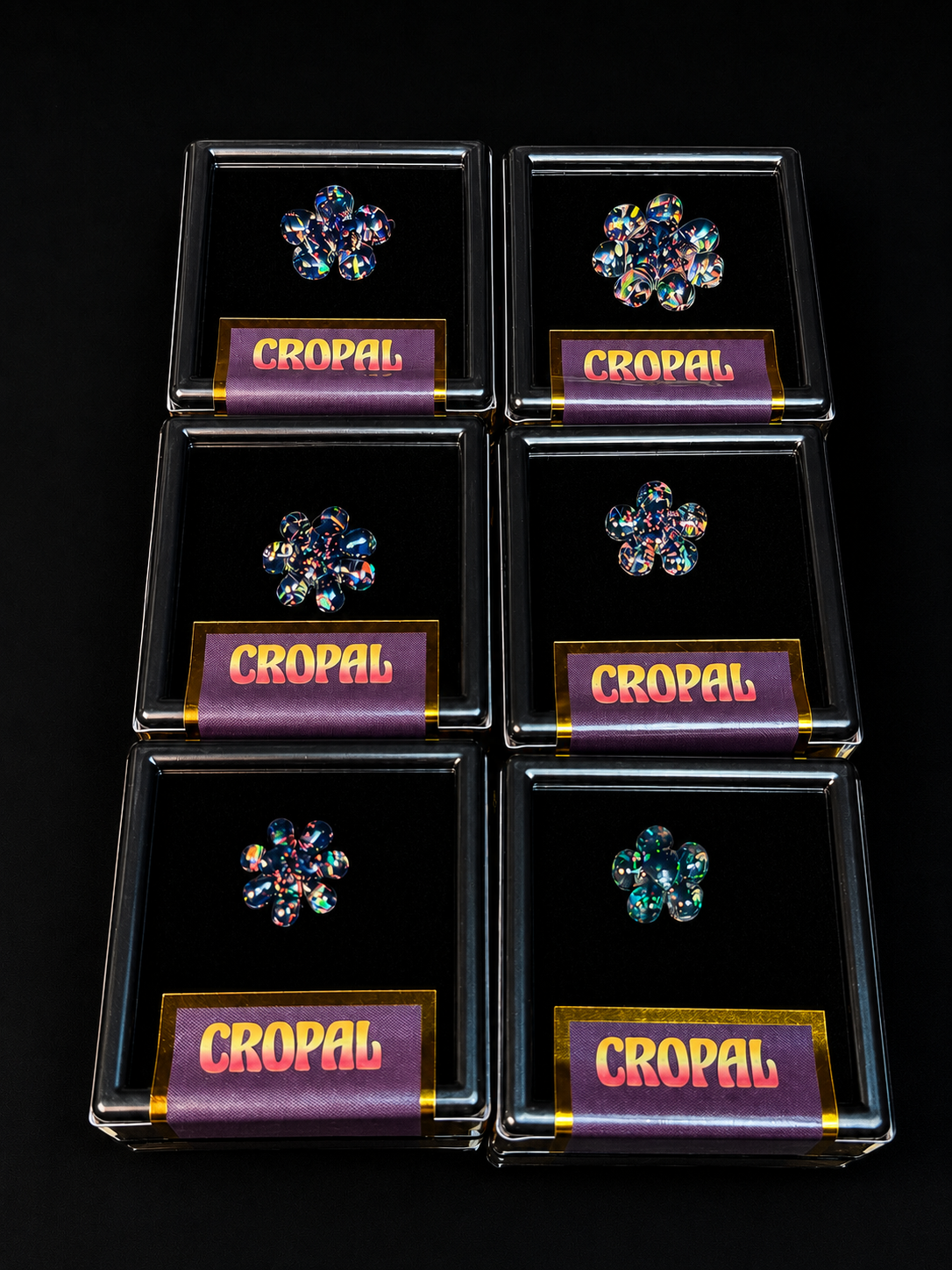 BMG Cropal Flake Collab